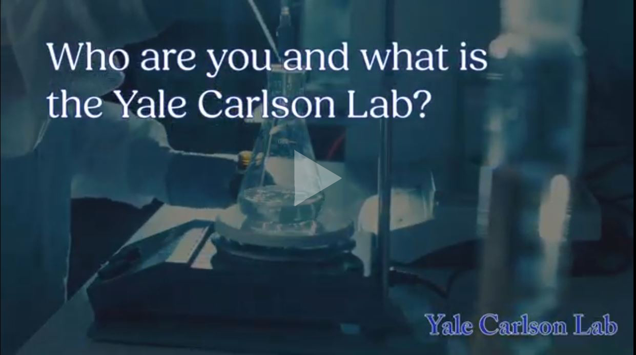 Video Life, Death & Cannibalism in the Lab Carlson Lab